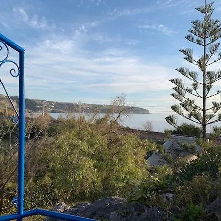 Ferienhaus - Tea Fiuzzi Praia a Mare